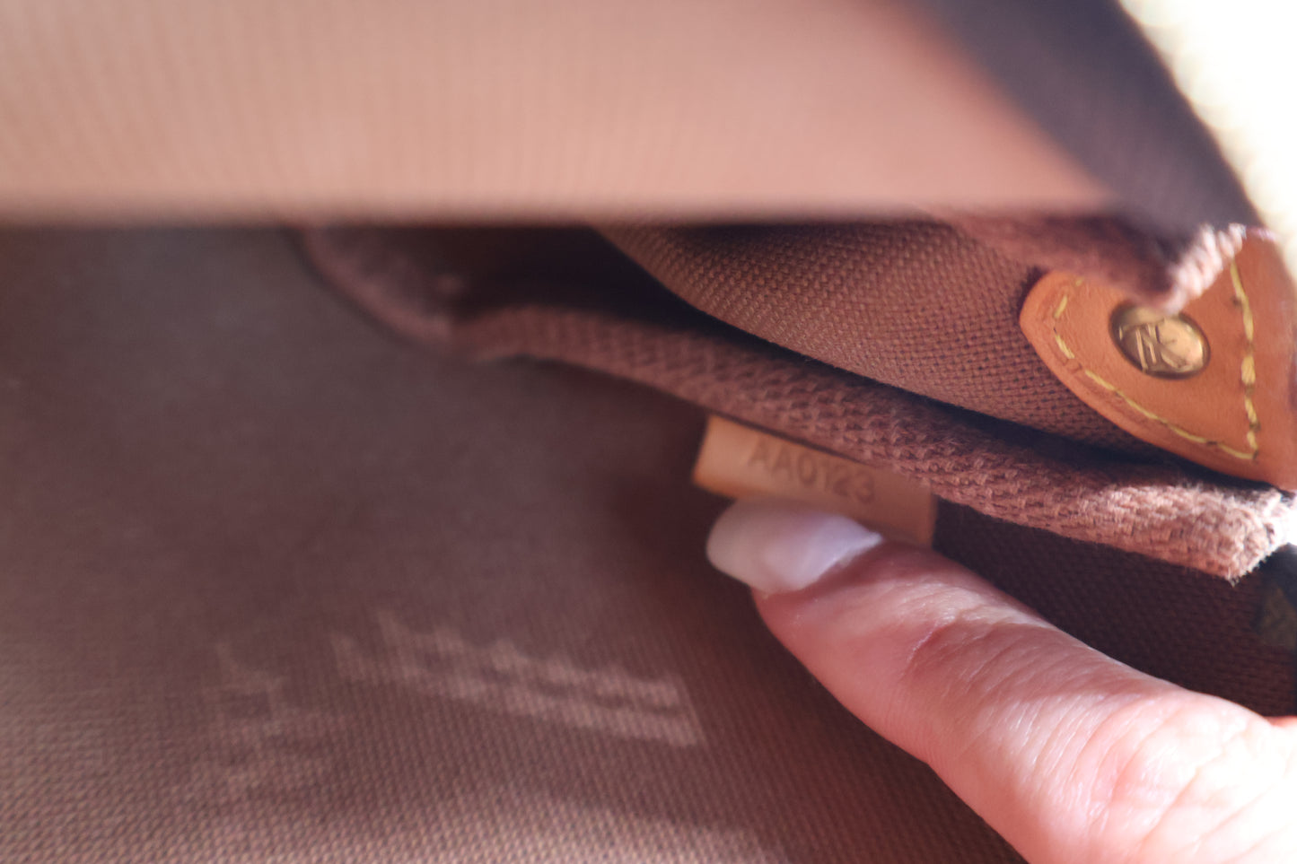 Louis Vuitton Eva Clutch